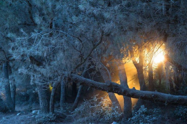 Foto - İşte dünyanın en iyileri