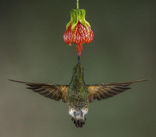 Foto - İşte dünyanın en iyileri
