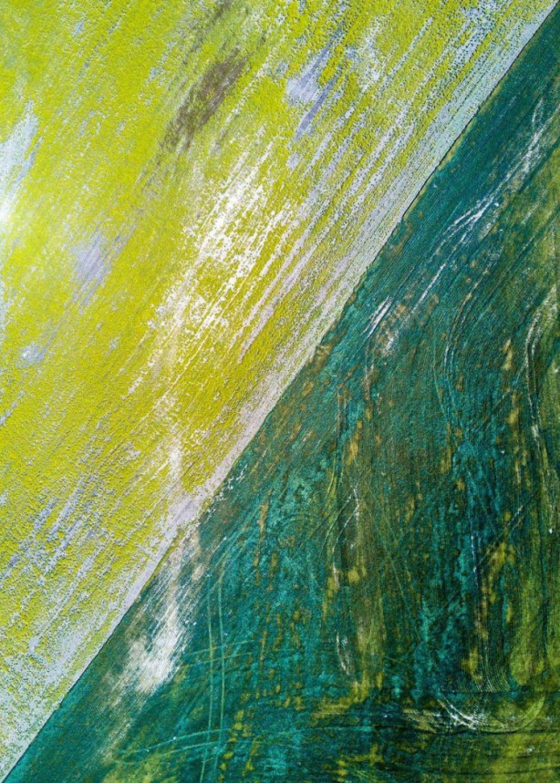 Foto - İşte dünyanın en iyileri