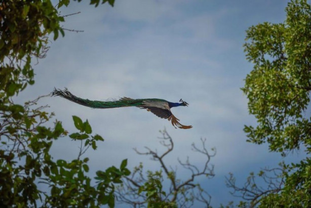Foto - İşte dünyanın en iyileri