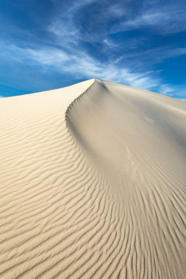 Foto - İşte dünyanın en iyileri