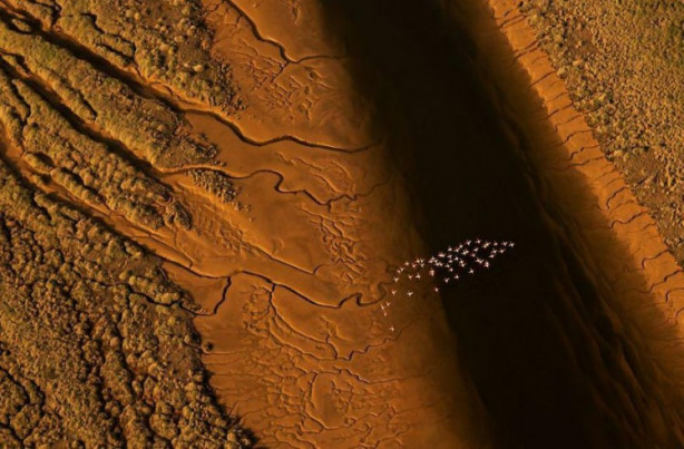 Foto - İşte dünyanın en iyileri