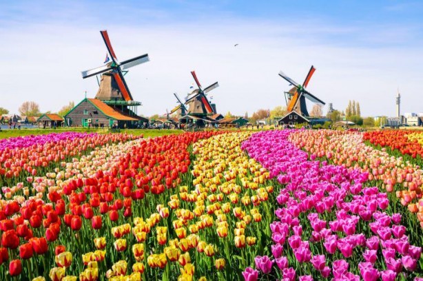 Foto - İşte dünyanın en kalabalık ülkeleri! Zirve değişti...Türkiye de listede