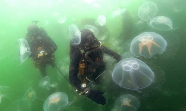 Foto - İşte dünyanın en korkutucu 25 özel birliği...