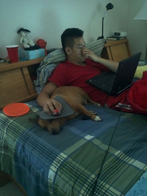 Foto - İşte dünyanın en umursamaz hayvanları