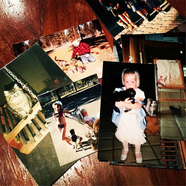 Foto - İşte dünyanın en yaşlı kedisi