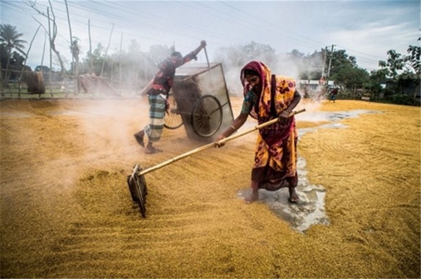 Foto - İşte dünyanın en zor meslekleri