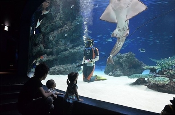 Foto - İşte dünyanın en zor meslekleri