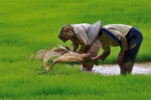 Foto - İşte dünyanın en zor meslekleri