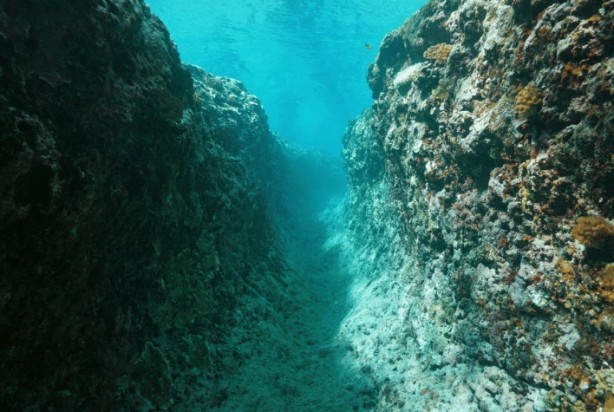 Foto - İşte Dünya'nın enleri!