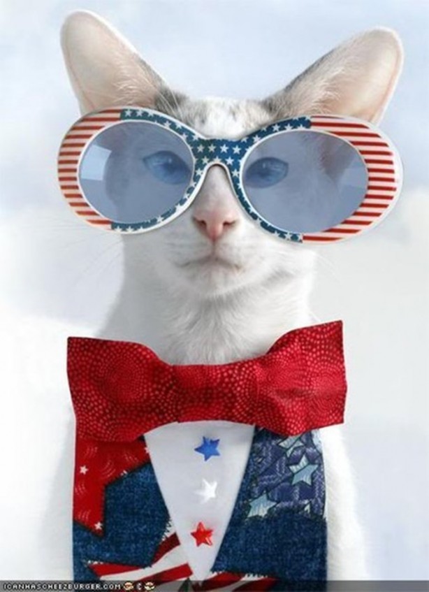 Foto - İşte dünyanın 'en'leri