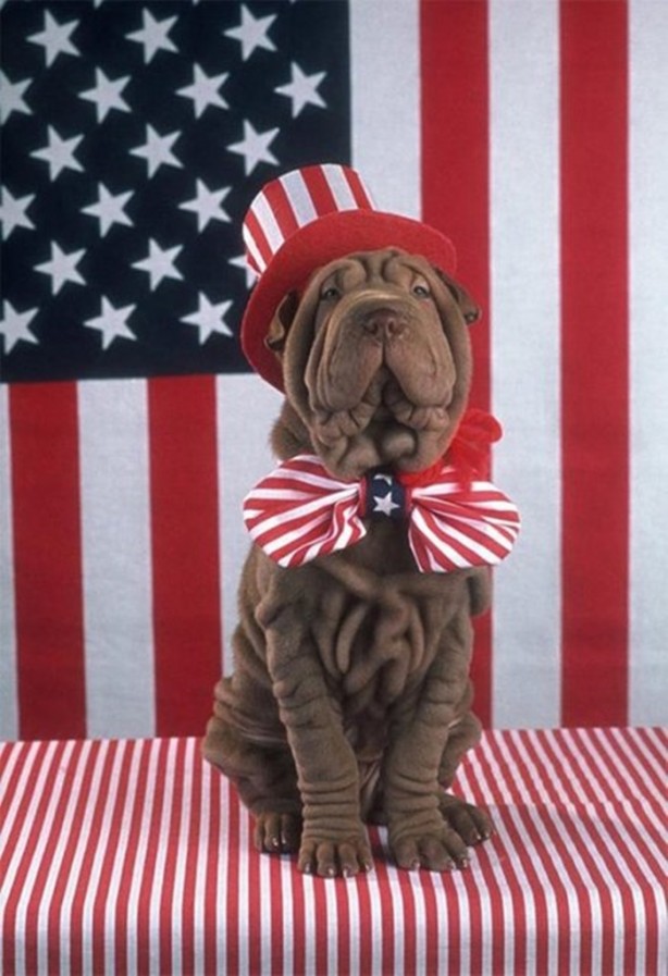 Foto - İşte dünyanın 'en'leri