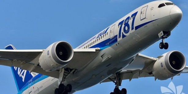 İşte duyduğunuzda inanamayacağınız ilginç ve bir o kadar korkunç bilgiler