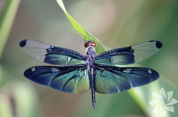 Foto - İşte duyduğunuzda inanamayacağınız ilginç ve bir o kadar korkunç bilgiler