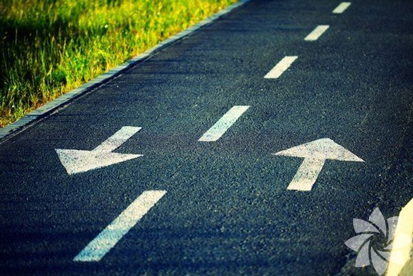 Foto - İşte duyduğunuzda inanamayacağınız ilginç ve bir o kadar korkunç bilgiler