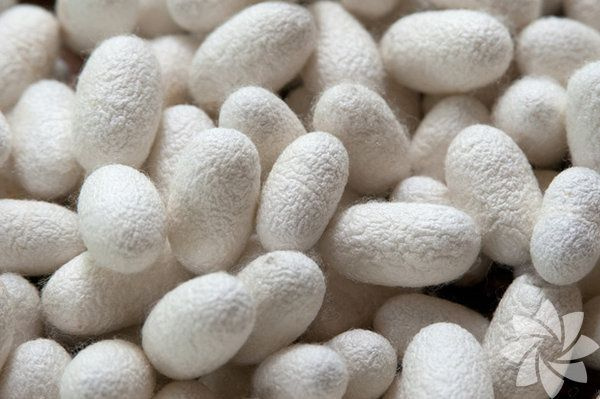 Foto - İşte duyduğunuzda inanamayacağınız ilginç ve bir o kadar korkunç bilgiler