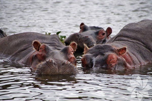 Foto - İşte duyduğunuzda inanamayacağınız ilginç ve bir o kadar korkunç bilgiler