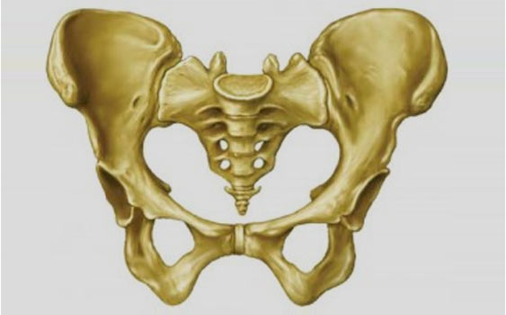 Foto - İşte duyduğunuzda inanamayacağınız ilginç ve bir o kadar korkunç bilgiler