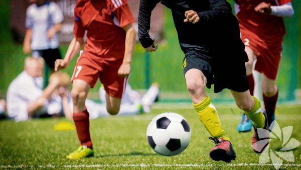 Foto - İşte duyduğunuzda inanamayacağınız ilginç ve bir o kadar korkunç bilgiler