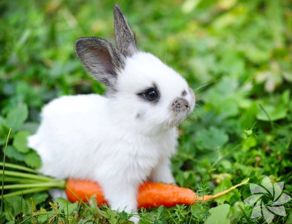 Foto - İşte duyduğunuzda inanamayacağınız ilginç ve bir o kadar korkunç bilgiler