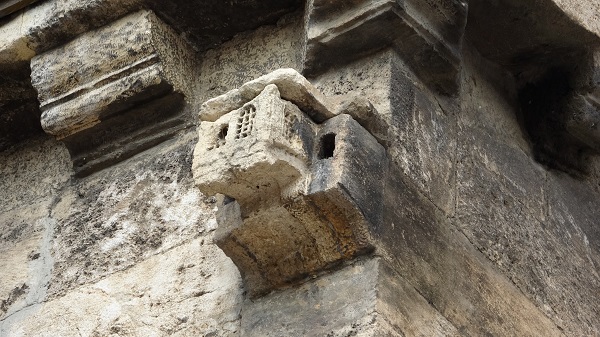 İşte ecdadın hayvan sevgisinin kanıtı