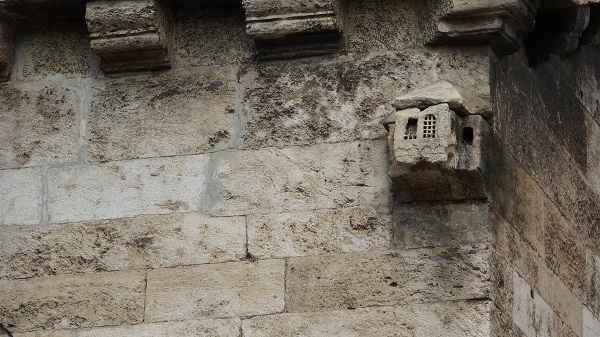 Foto - İşte ecdadın hayvan sevgisinin kanıtı