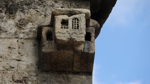 Foto - İşte ecdadın hayvan sevgisinin kanıtı