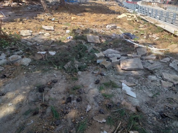 Foto - İşte Ekrem İmamoğlu'nun yönettiği İBB gerçeği! Neredesiniz ey çevreci tayfası...