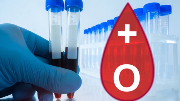 Foto - En akıllı kan grubu hangisi? 4 kan grubunda: O güce sahip olanlar! Japonlar ilişkin yeni sonuçları ilan etti!