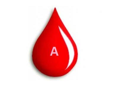 Foto - En akıllı kan grubu hangisi? 4 kan grubunda: O güce sahip olanlar! Japonlar ilişkin yeni sonuçları ilan etti!