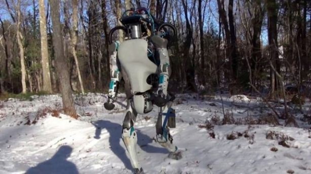 Foto - İşte en akıllı robotlar