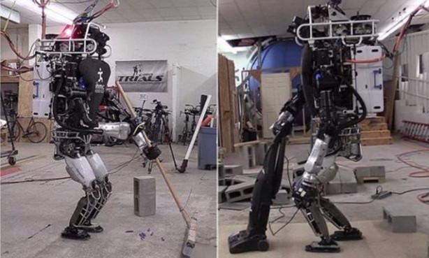 Foto - İşte en akıllı robotlar