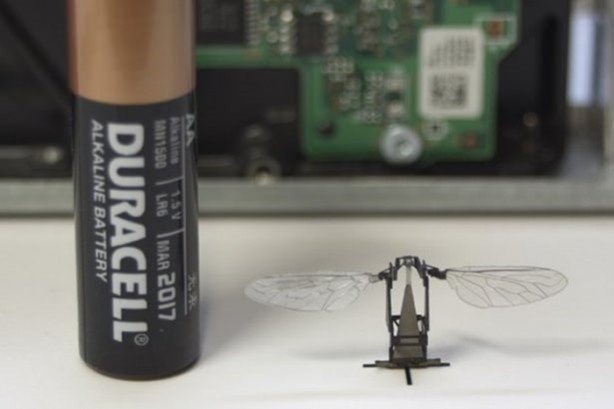 Foto - İşte en akıllı robotlar