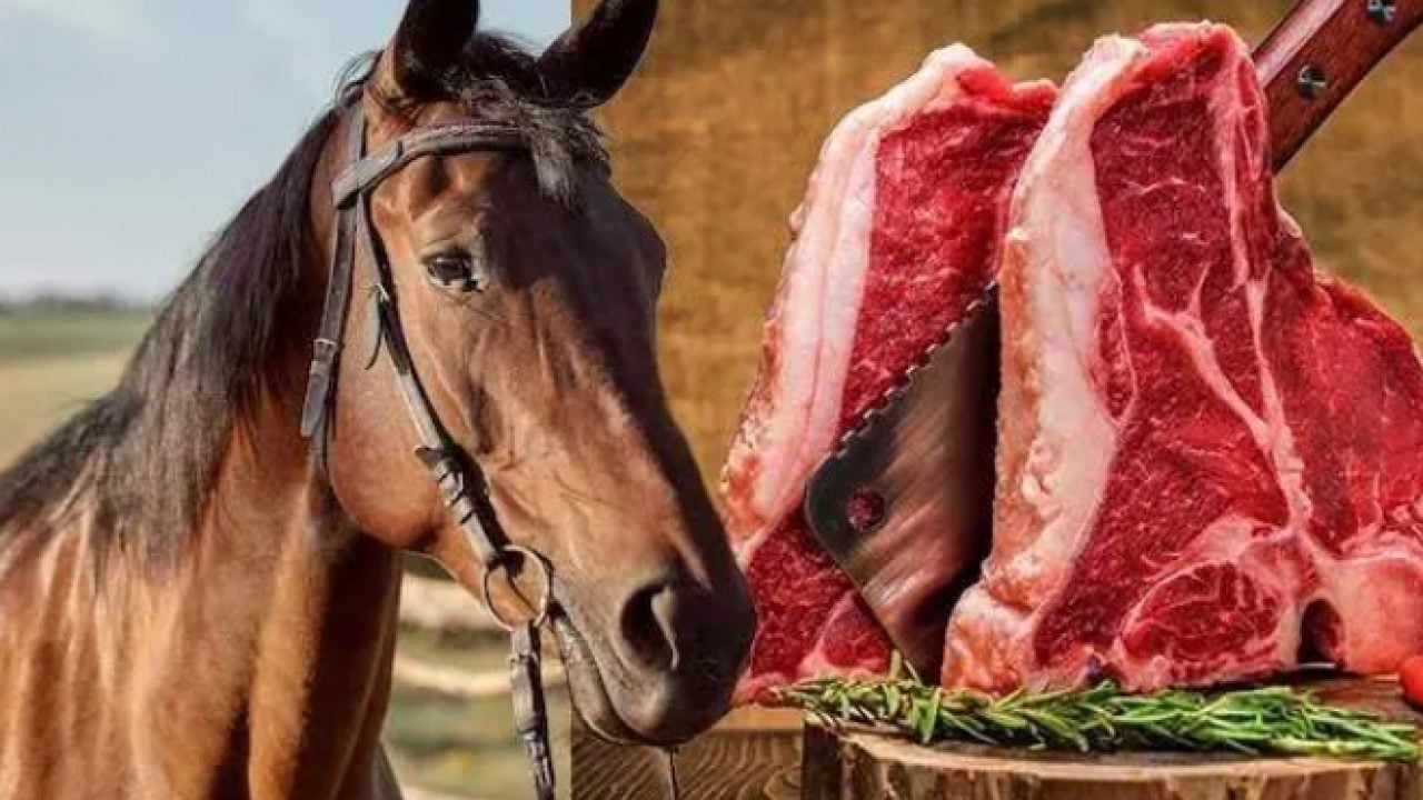Foto - İşte en çok at eti tüketen ülkeler! Zirvedeki ülke şaşırtmadı!