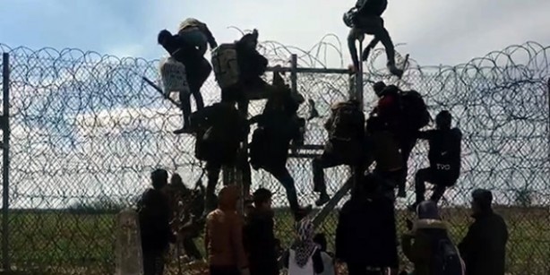 Foto - İşte en çok göçmen nüfusuna sahip olan o ülke! Türkiye'nin sırasına çok şaşıracaksınız