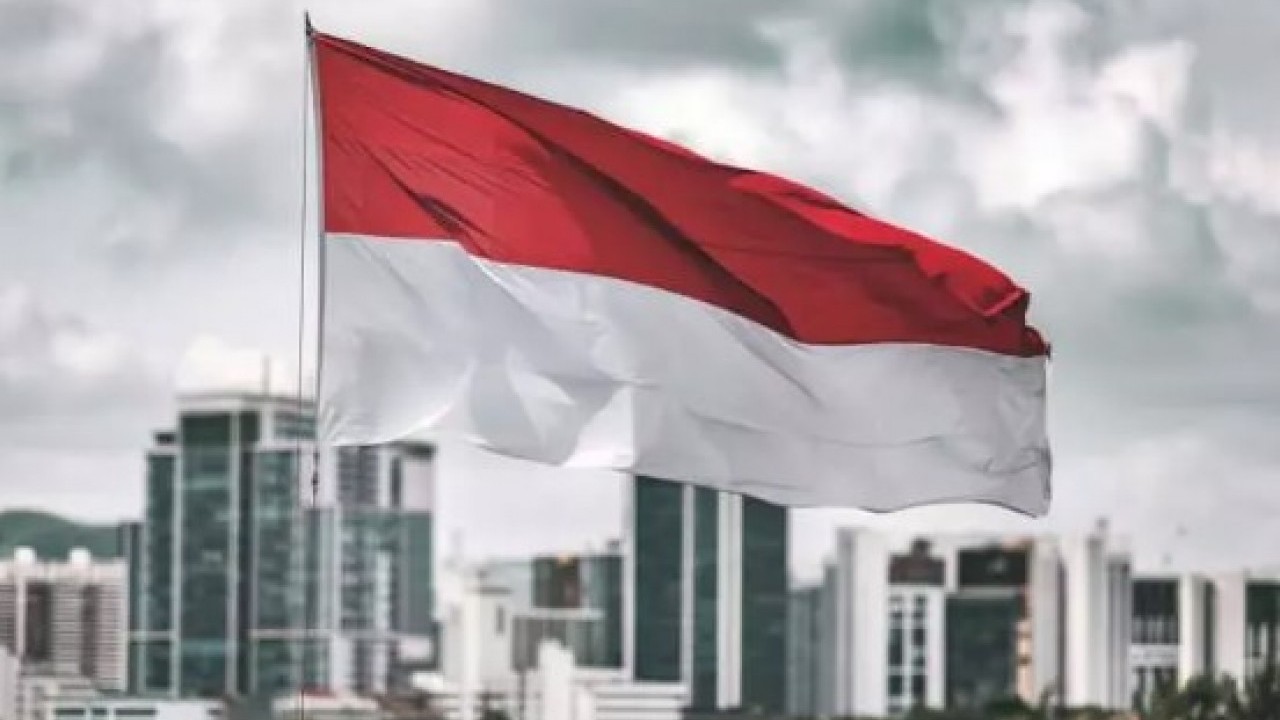 Foto - İşte en çok sokak köpeği olan ülkeler! Türkiye kaçıncı sırada? 