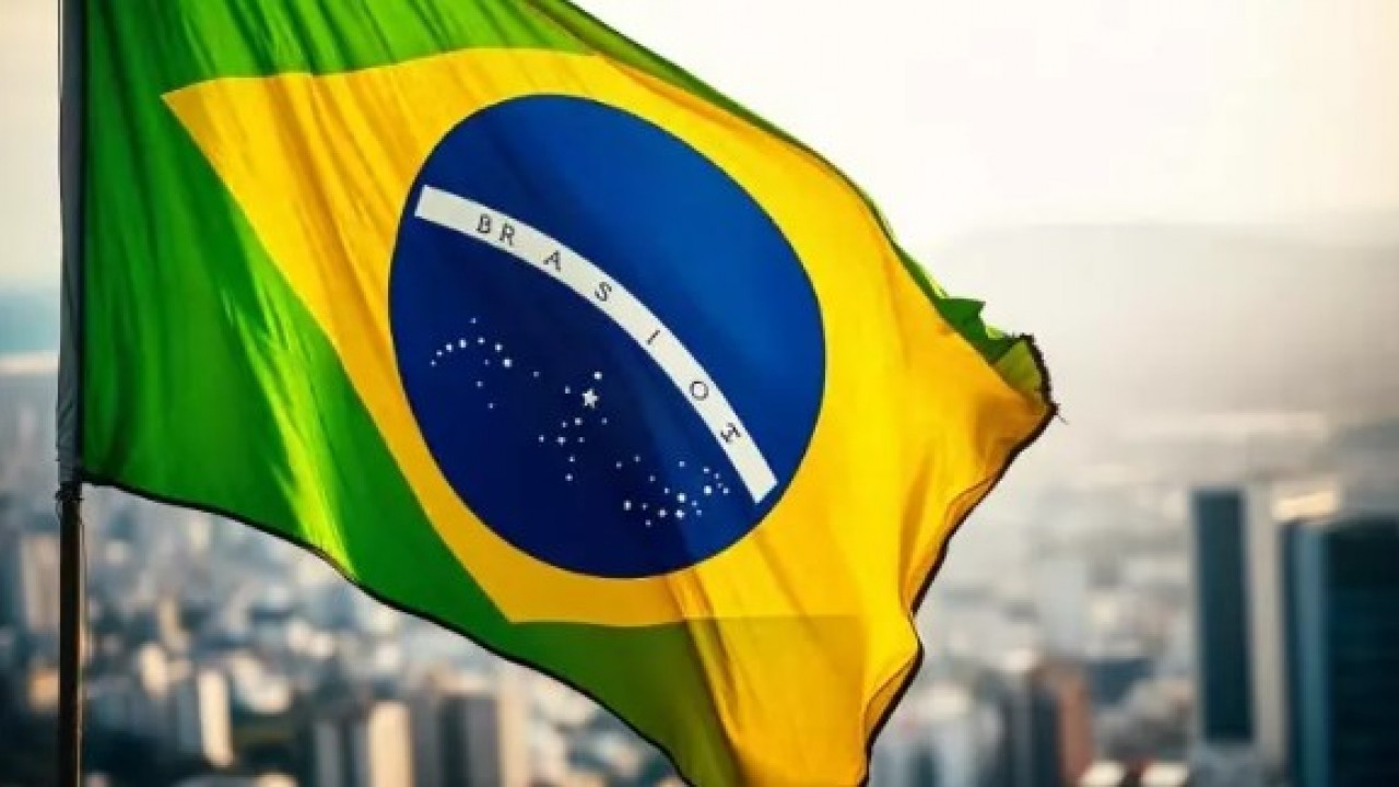 Foto - İşte en çok sokak köpeği olan ülkeler! Türkiye kaçıncı sırada? 