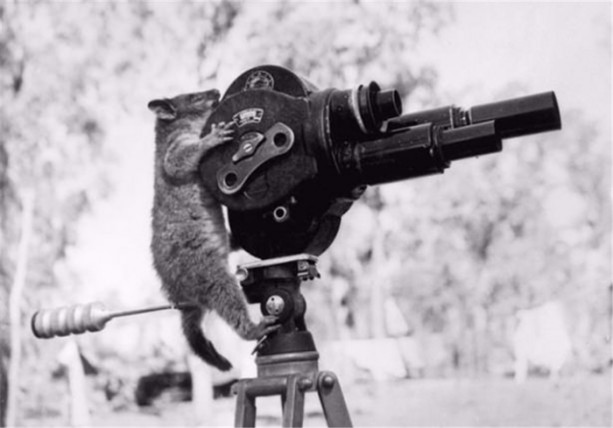 Foto - İşte en çok tıklanan fotoğraflar