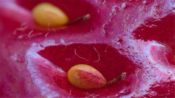 Foto - İşte en çok tıklanan fotoğraflar