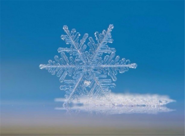 Foto - İşte en çok tıklanan fotoğraflar