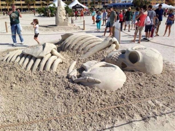 Foto - İşte en çok tıklanan fotoğraflar