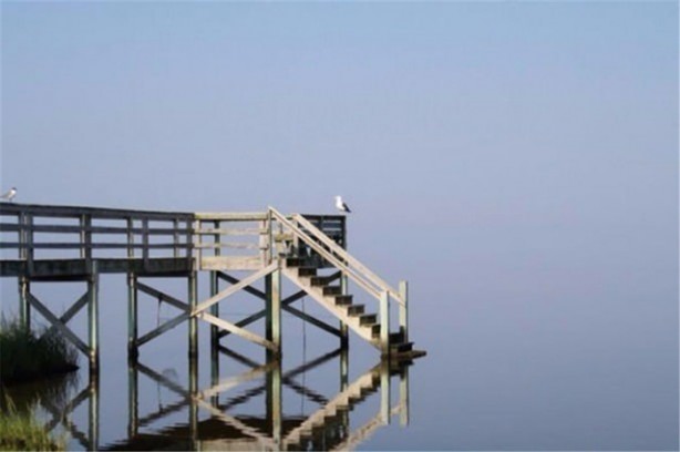 Foto - İşte en çok tıklanan fotoğraflar