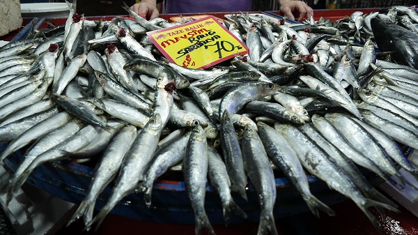 Foto - İşte en güncel balık fiyatları