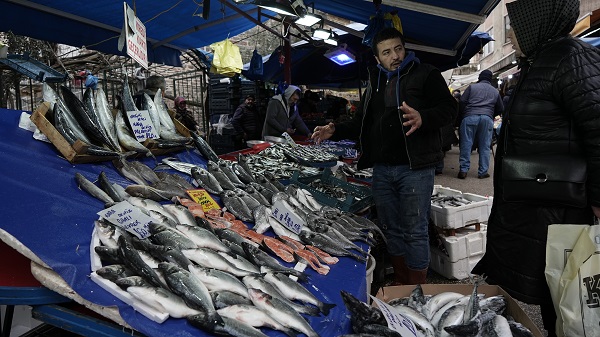 Foto - İşte en güncel balık fiyatları