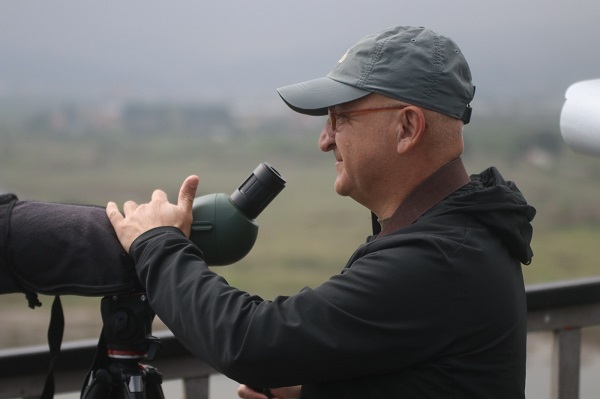 Foto - İşte en küçük baykuş türü