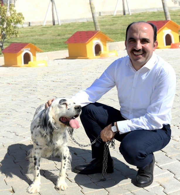 Foto - İşte Erdoğan'ın örnek gösterdiği il