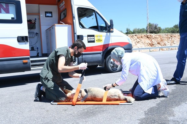Foto - İşte Erdoğan'ın örnek gösterdiği il