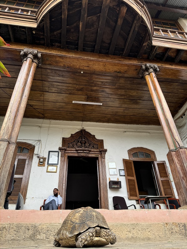 Foto - İşte Etiyopya'nın 80 yaşındaki kaplumbağalı müzecisi