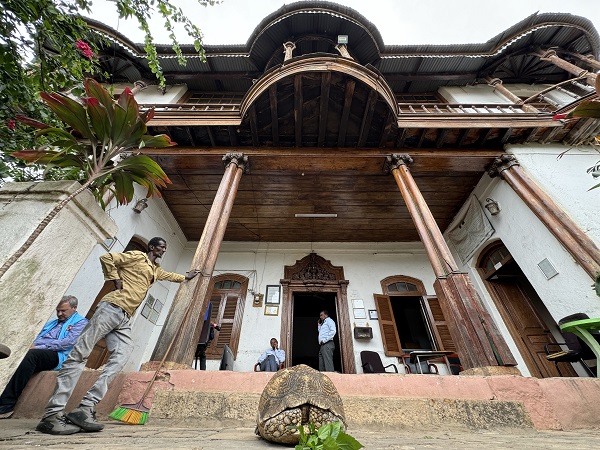 Foto - İşte Etiyopya'nın 80 yaşındaki kaplumbağalı müzecisi