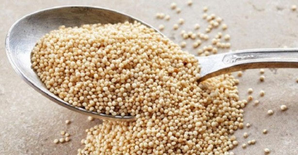 Foto - İşte etkisi kanıtlanmış gelmiş geçmiş en sağlıklı 50 besin